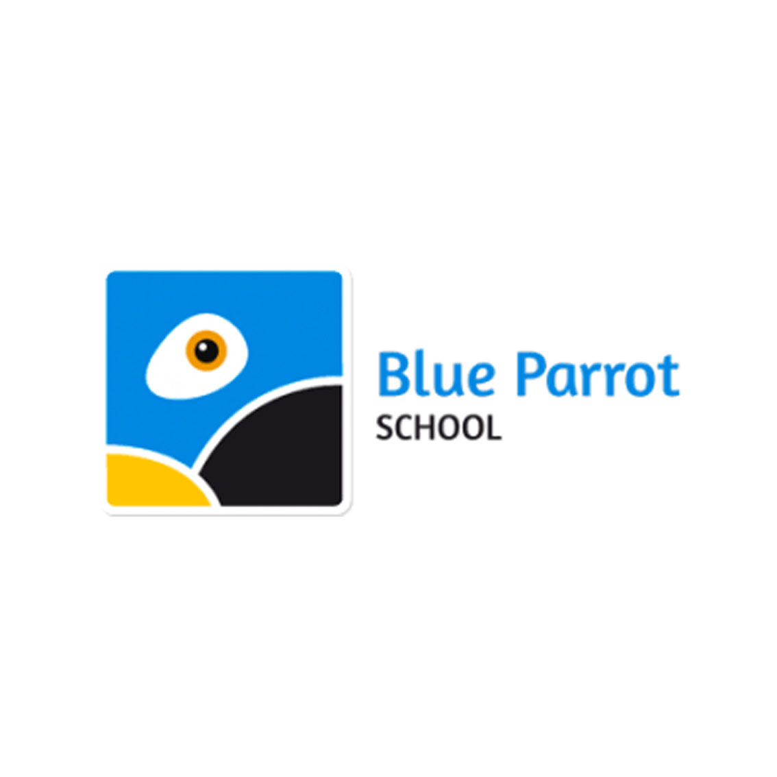 Blue Parrot School
